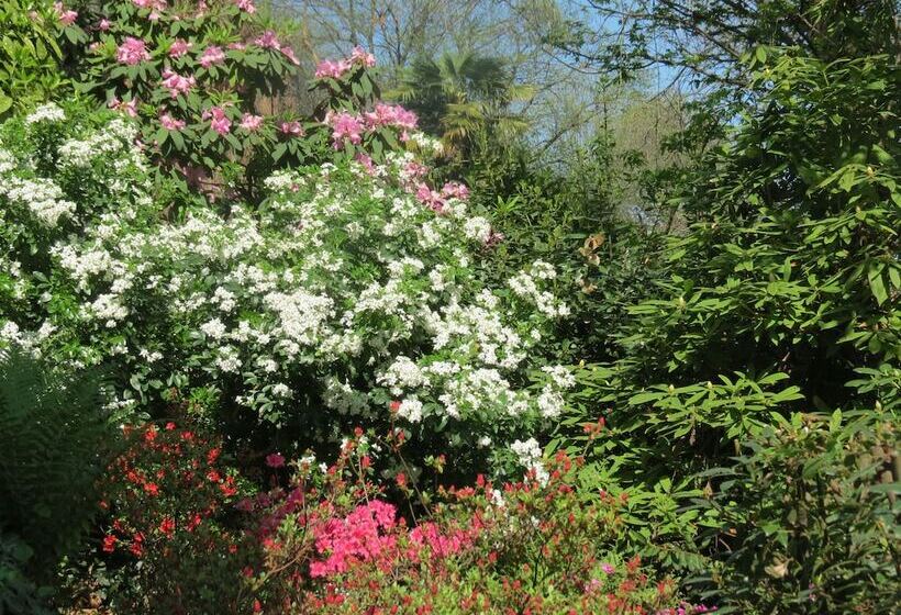 ホテル B&b Tana Della Volpe