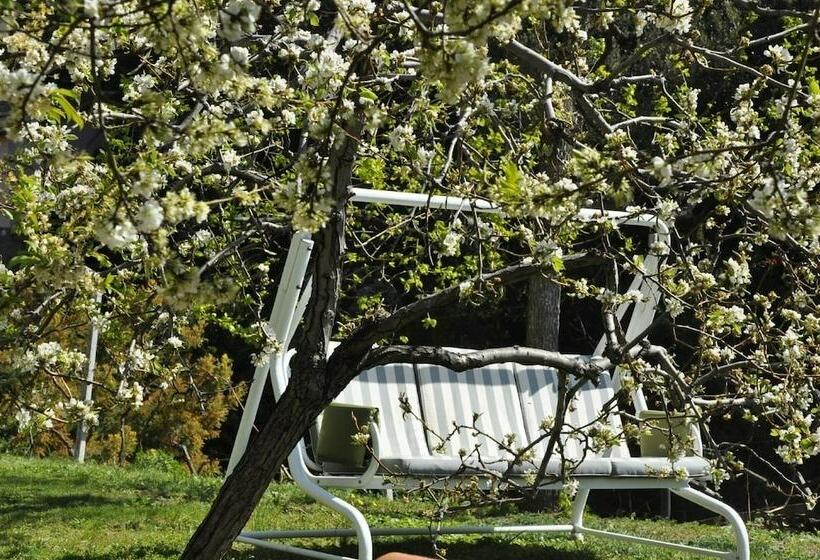 酒店 Cà Du Ferrà Farm & Relax