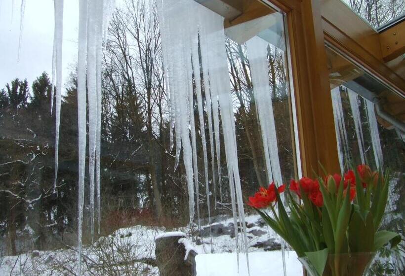 هتل Frauenpension Arleta   Women Only