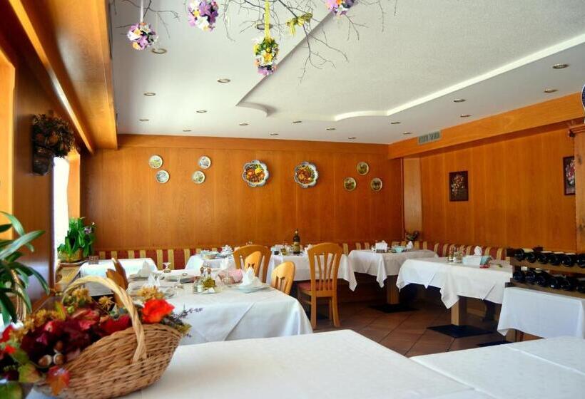 فندق Albergo Trentino
