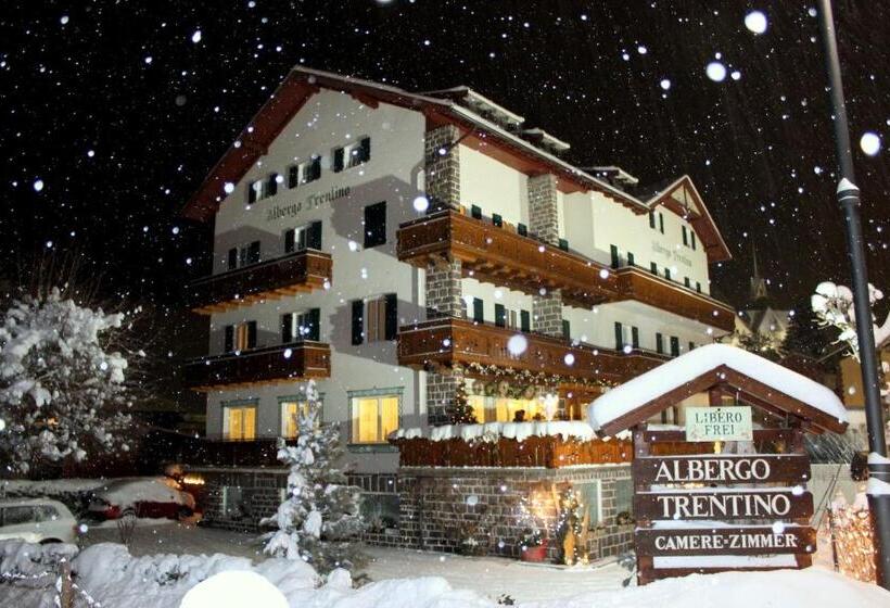 فندق Albergo Trentino