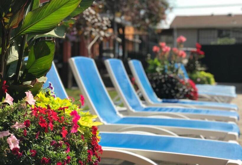 בית מלון כפרי Sahara Courtyard Inn Osoyoos