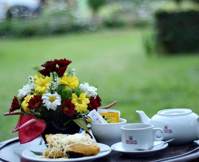 هتل Sibayak Internasional