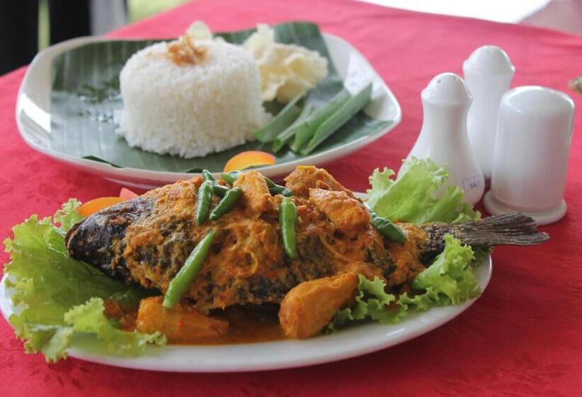 هتل Sibayak Internasional