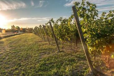 هتل Cascina Borghetta