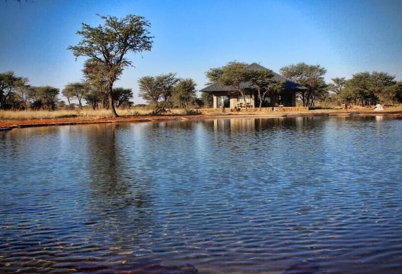 酒店 Africa Awaits Lodge & Safaris