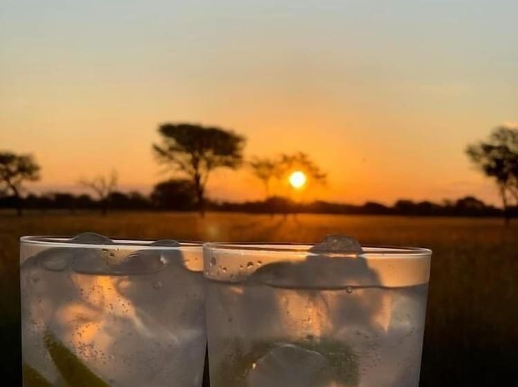 酒店 Africa Awaits Lodge & Safaris