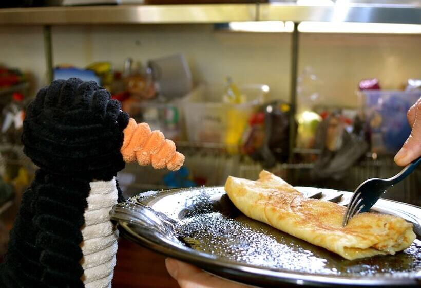 هتل 1849 Backpackers Albany