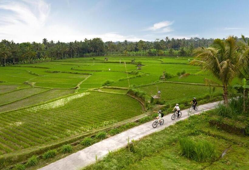 فندق Padma Resort Ubud