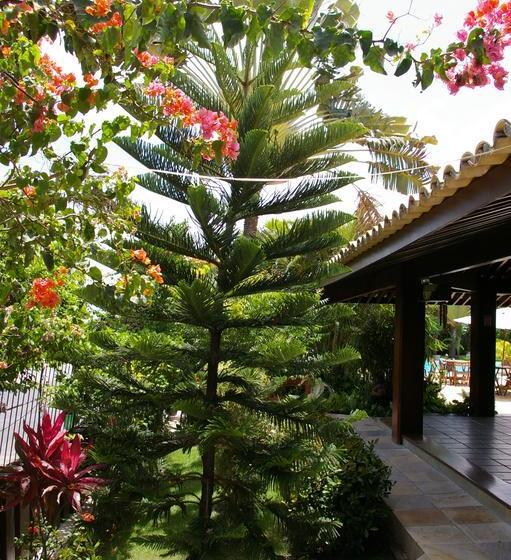 Hotel Tayuana Pousada