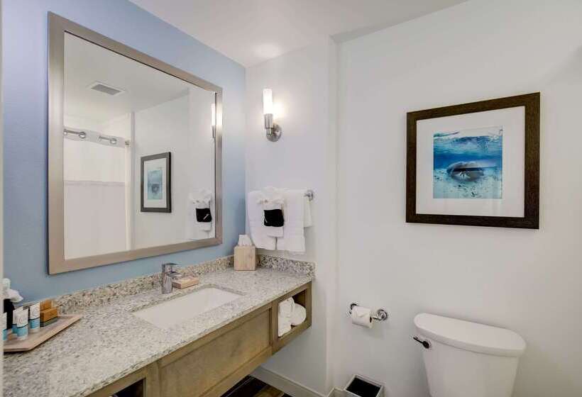 هتل Best Western Premier   The Tides