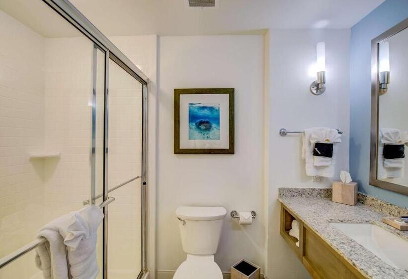 هتل Best Western Premier   The Tides