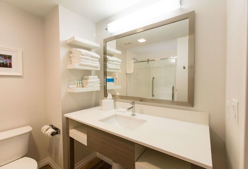 בית מלון כפרי Hampton Inn Palatka