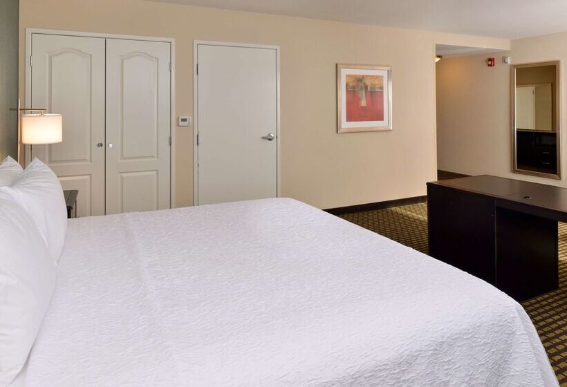 酒店 Hampton Inn & Suites Douglas