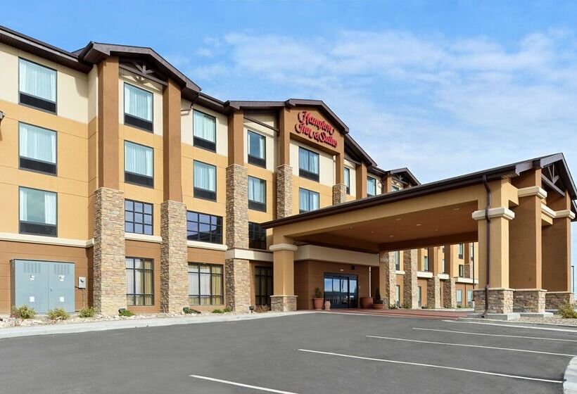 酒店 Hampton Inn & Suites Douglas