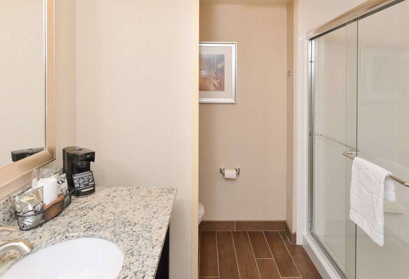 酒店 Hampton Inn & Suites Douglas