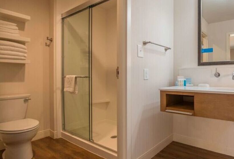 בית מלון כפרי Hampton Inn Waynesboro