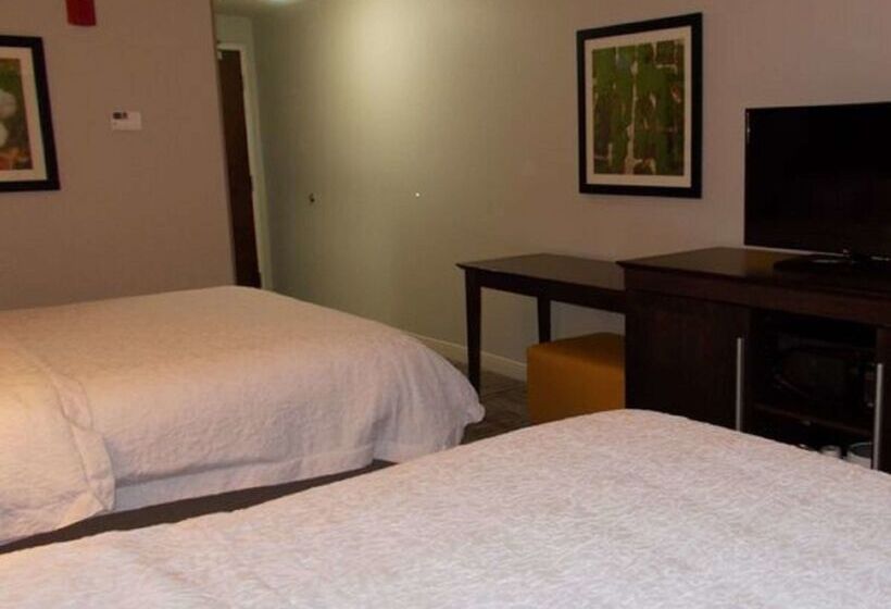 בית מלון כפרי Hampton Inn Waynesboro