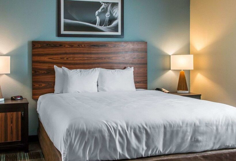 בית מלון כפרי Mainstay Suites Cotulla