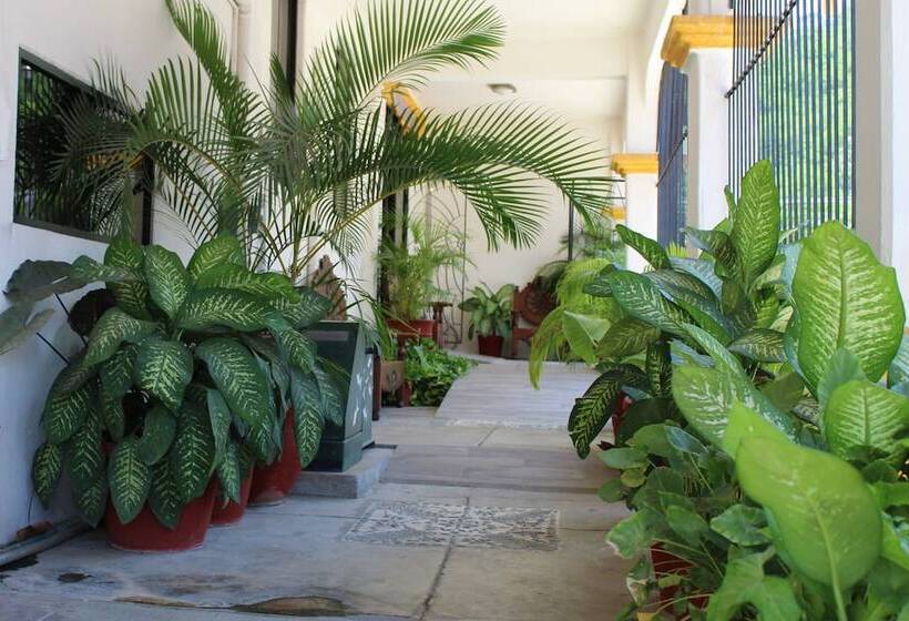 هتل Arrecife Huatulco Plus