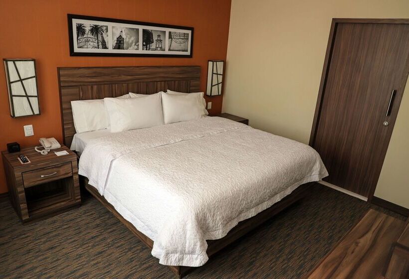 هتل Hampton Inn By Hilton Irapuato