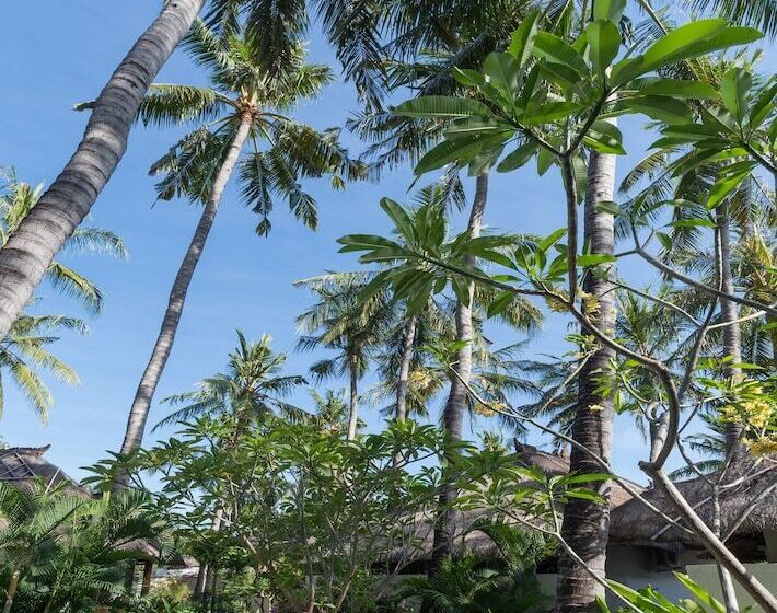 호텔 Palm Garden Amed Beach & Spa Resort Bali