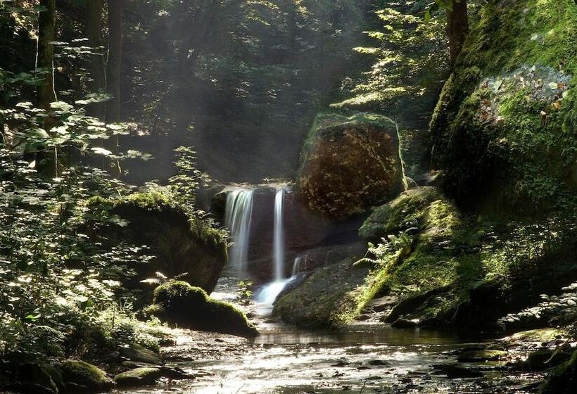 ホテル Restaurant Peifer