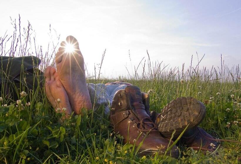 ホテル Restaurant Peifer