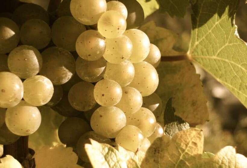 ホテル Restaurant Peifer