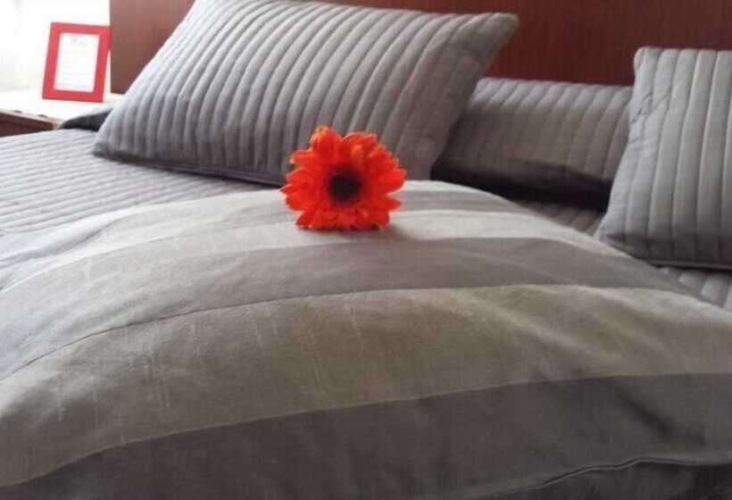 تختخواب و صبحانه Galleria Frascati Rooms And Apartment