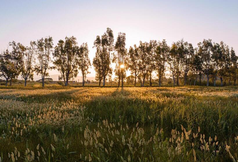 استراحتگاه Grecotel Luxme Costa Botanica