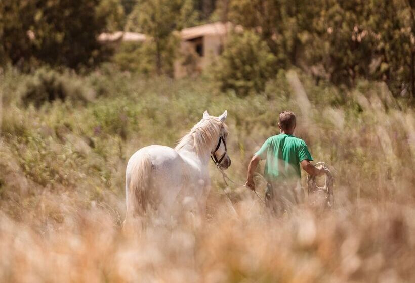 استراحتگاه Grecotel Luxme Costa Botanica