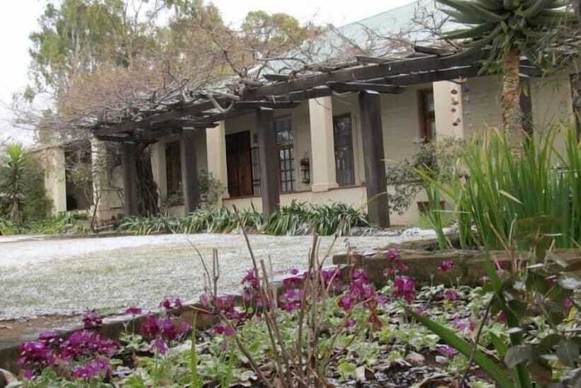 Top House Bed And Breakfast