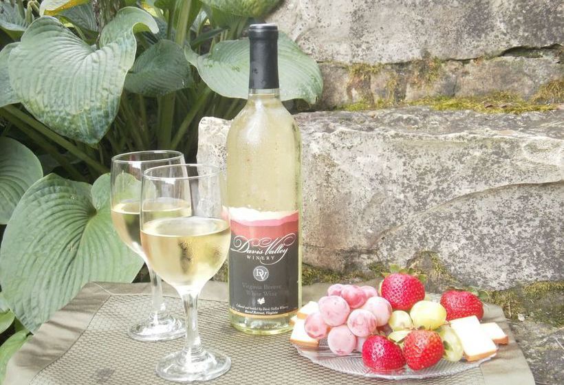 Bed and Breakfast The Collins House Inn