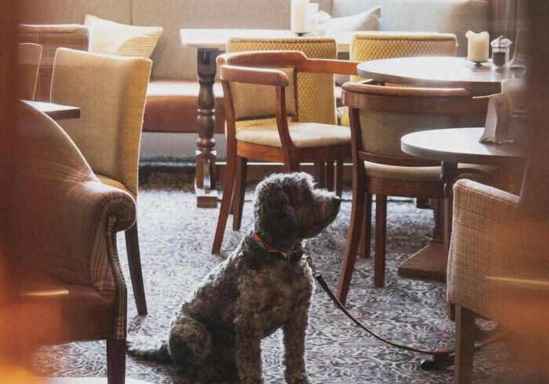 هتل Inn In The Park