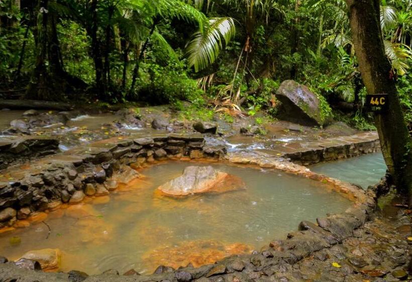 בית מלון כפרי Termales Del Bosque & Hot Springs