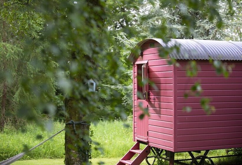 住宿加早餐  Blackstairs Shepherds Huts