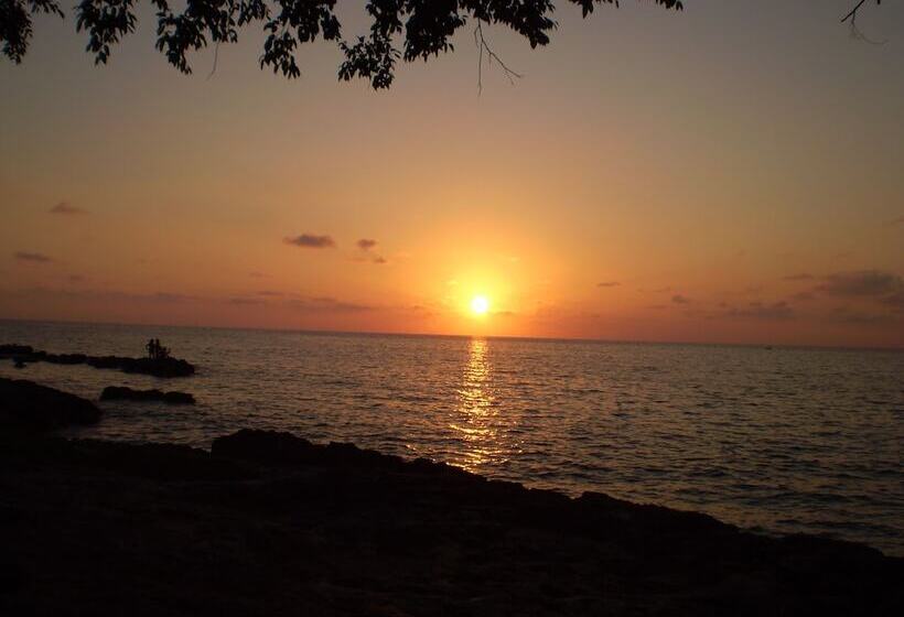 تختخواب و صبحانه Hostal Cuba