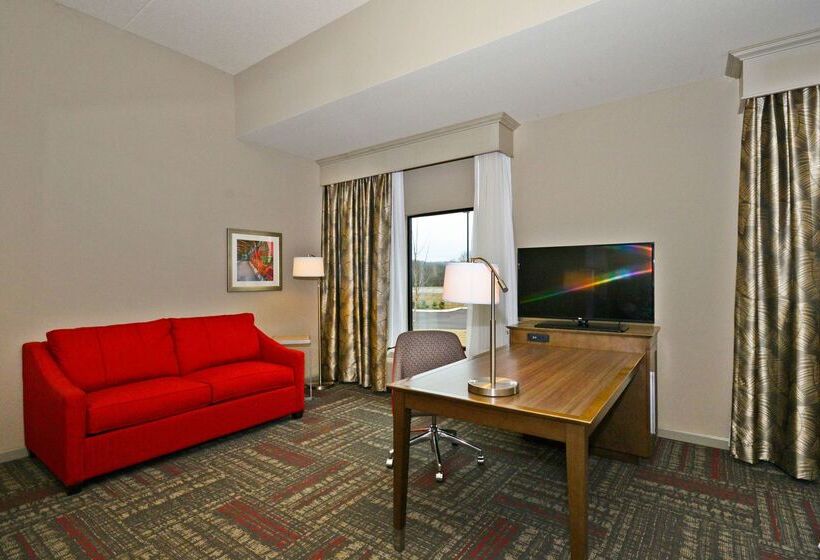 酒店 Hampton Inn Pulaski