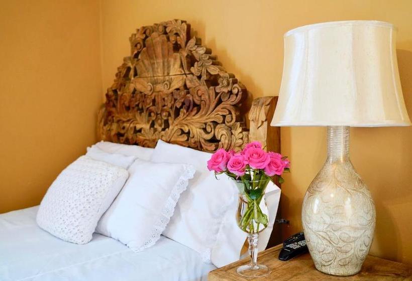 Fotos del hotel Tadeo Inn Bed & Breakfast:  31