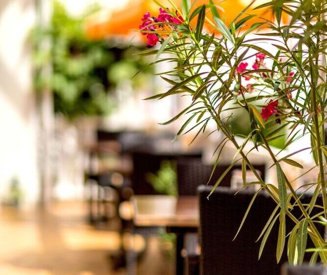 ホテル Zur Brücke