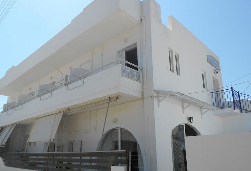 Garifalia Studio S