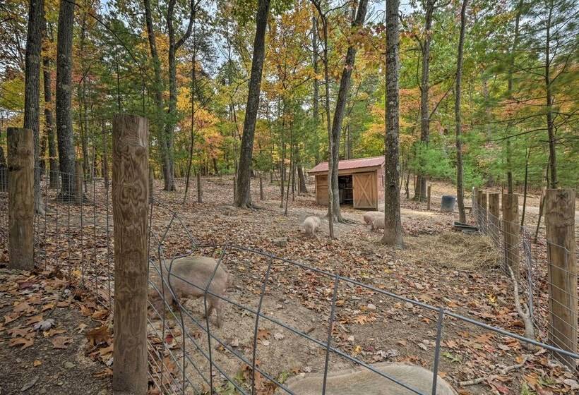 Matt Dillon  Cabin ~ 1 Mile To Raystown Lake!