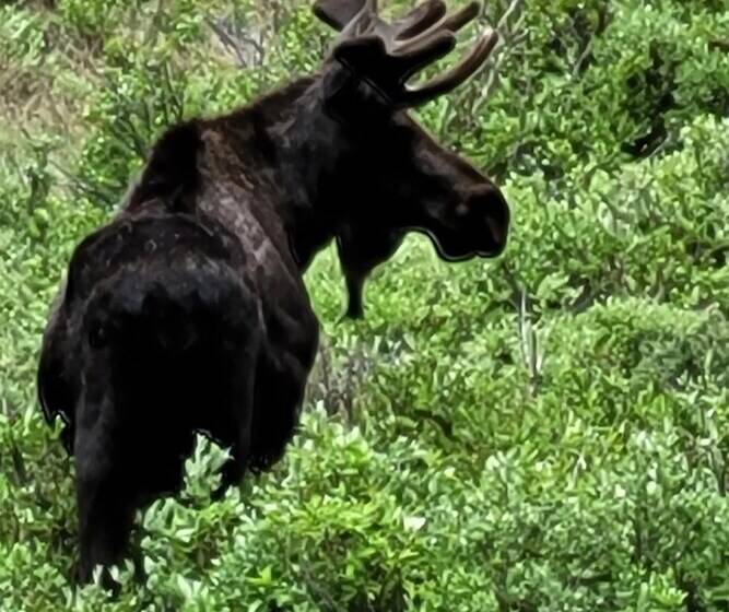 Nomad Haus W/ Mtn Views & Deck   25 Mi To Breck!