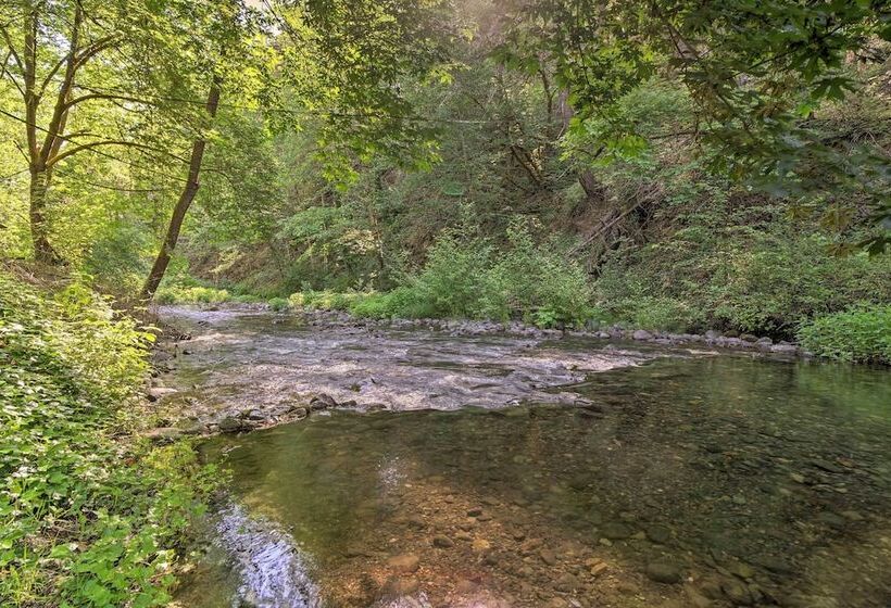 Outdoor Adventure: Tranquil Creekside Retreat