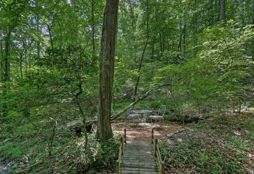 Tranquil Murphy Cabin W/ Swim Dock + Fire Pit