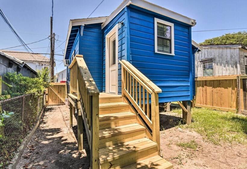 Blue Dolphin  Cottage: Walk To Galveston Seawall!
