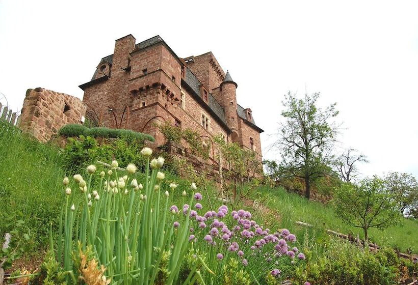 פנסיון Chateau La Servayrie