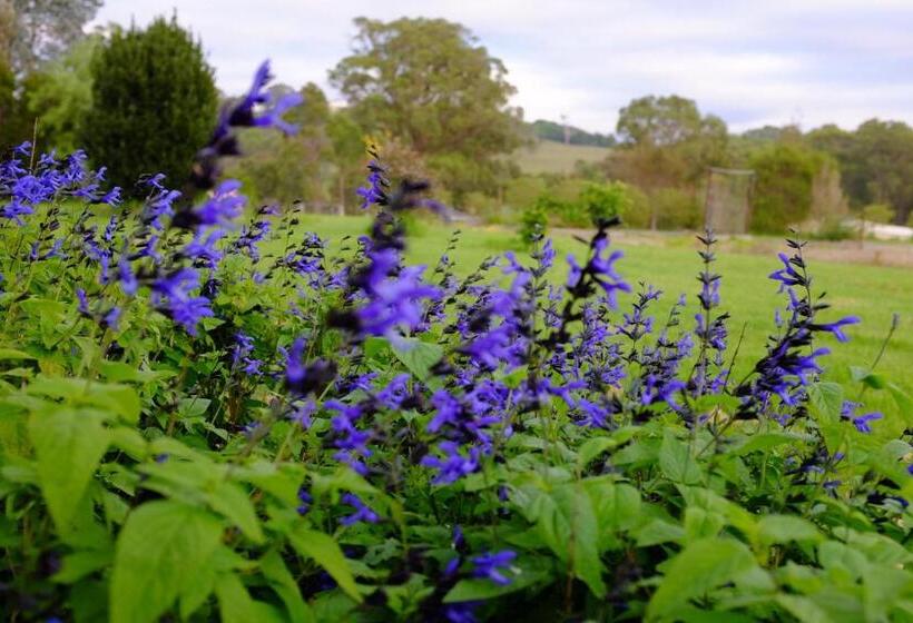 فندق Bryn Glas Farm Stay