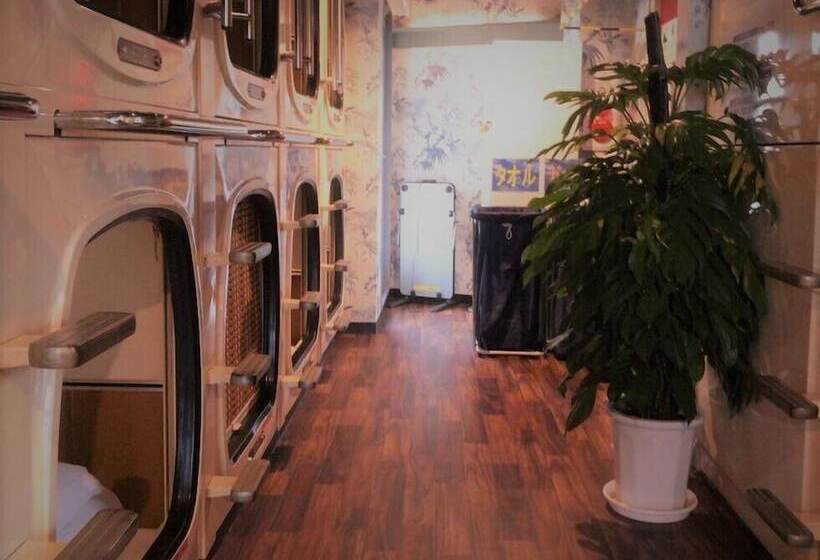 فنادق الكبسولة Capsule Inn Shimbashi  Men Only